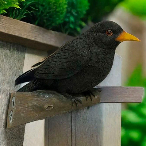 Фигура садовая Дрозд навесная купить в СОМ