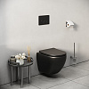 Кнопка для инсталляции Grossman Style 700.K31.05.21M.21M, черный матовый купить в СОМ