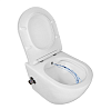 Унитаз подвесной Azario Allegro AZ-3105B, безободковый, c функцией биде купить в СОМ