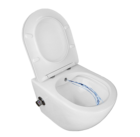 Унитаз подвесной Azario Allegro AZ-3105B, безободковый, c функцией биде купить в СОМ