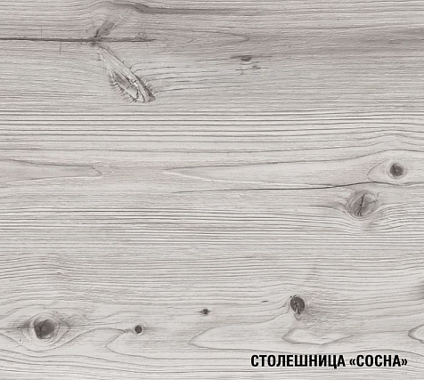 Столешница Сосна, 500х600 мм купить в СОМ